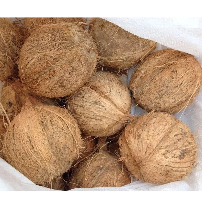 High Quality Fresh Mature Coconut From Vietnam With Competitive Price