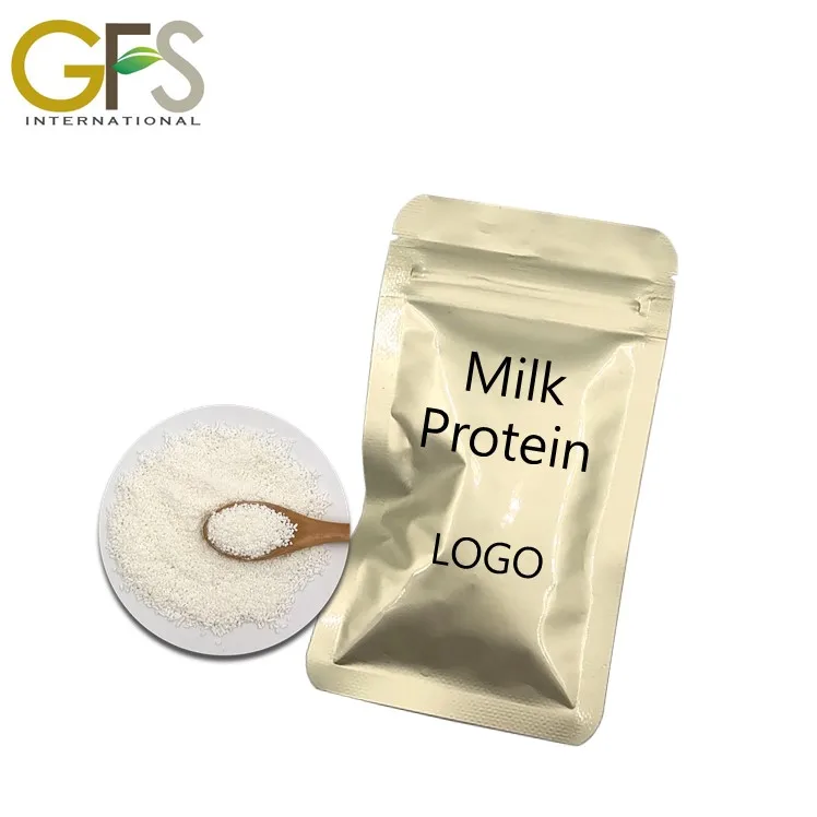 best import chocolate Whey Protein nutritional supplement