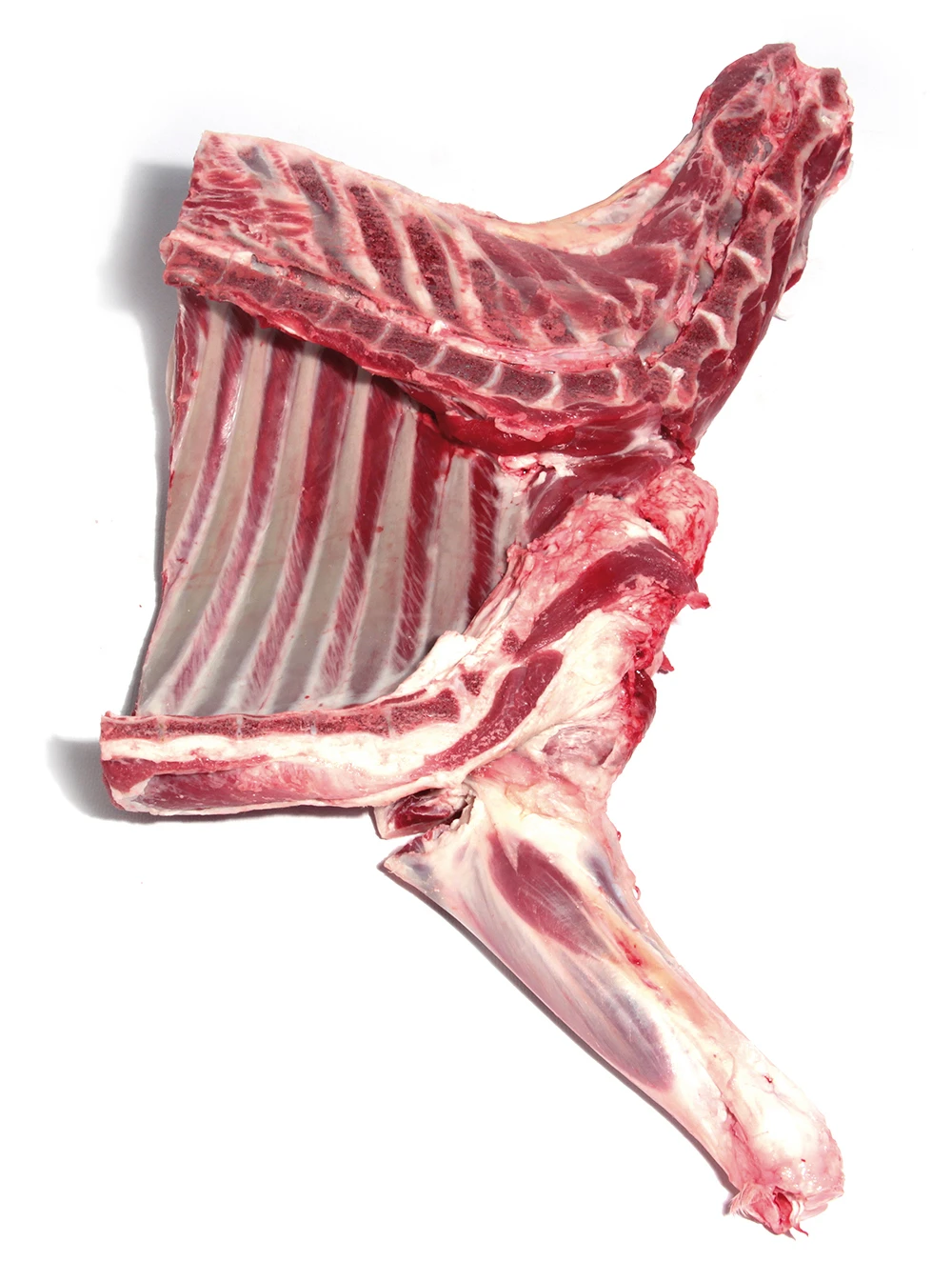FROZEN MUTTON/SHEEP / LAMB WHOLE  CARCASS, Ready to Export, Bulk Available