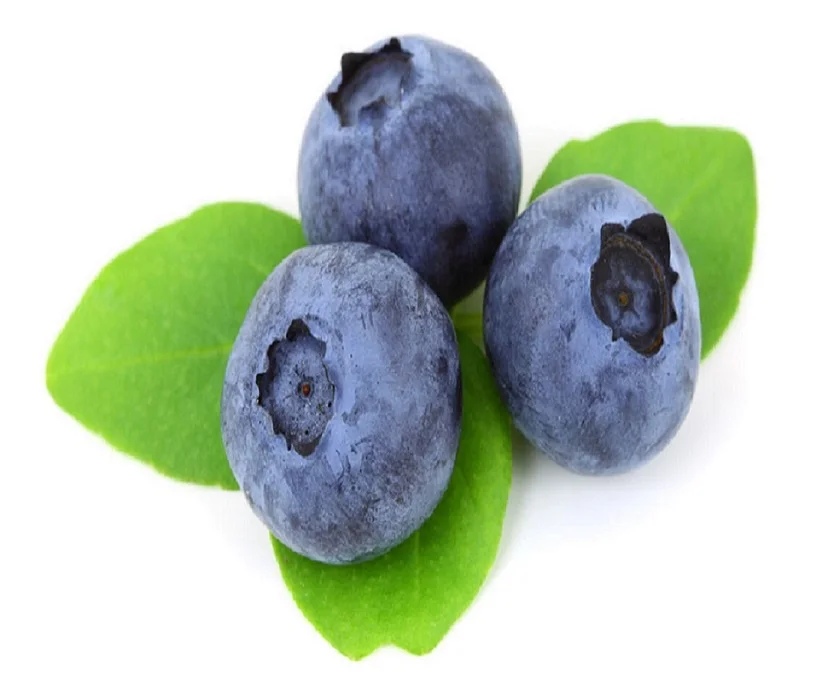 GHRFR (23) - Copy.jpg