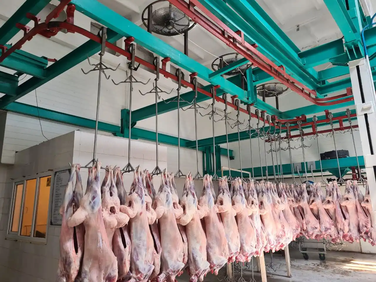 Замороженная говядина высокое качество Казахстан оптовая продажа Органическая натуральная замороженная мясо Халяль