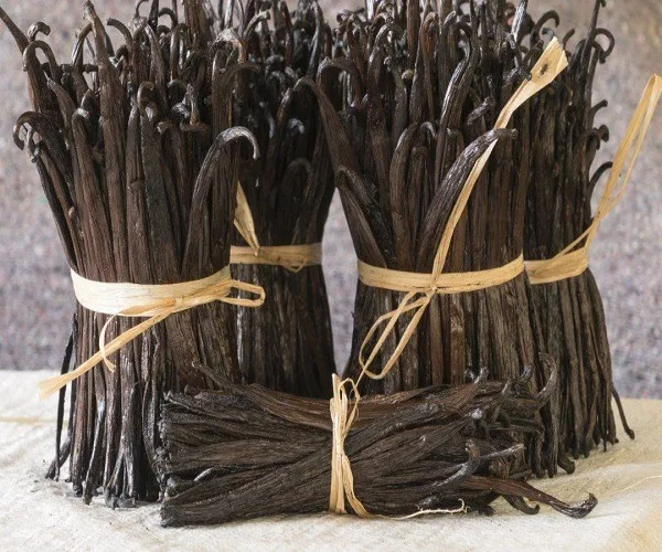 vanilla beans9.jpg