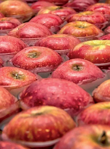  Свежие яблоки fuji с красной звездой для оптовой продажи