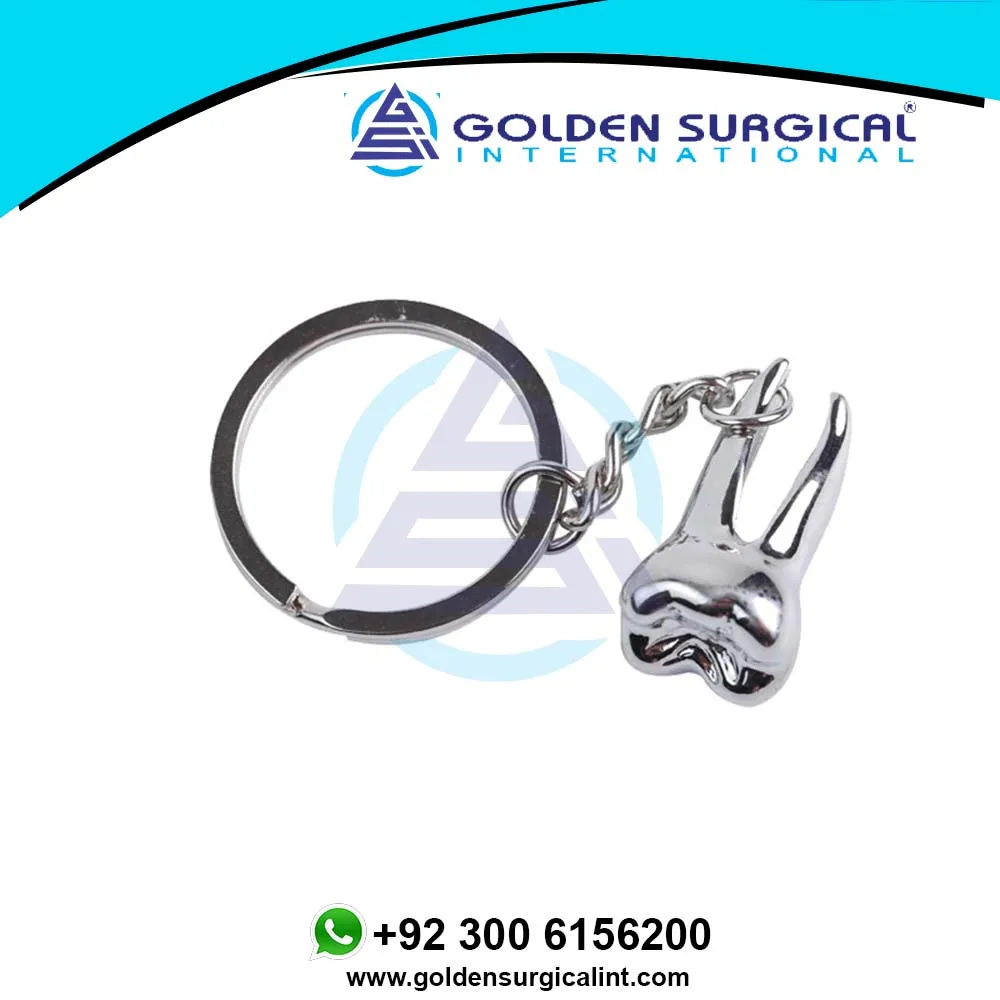 Custom Teeth Keychain Dentist Decoration Key Chains Stainless Steel Tooth Model Shape Dental Clinic Gift Wholesale