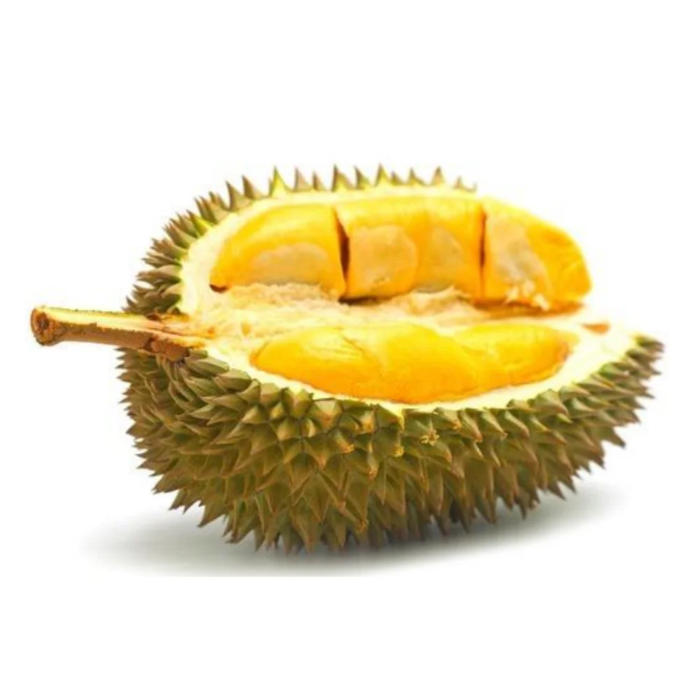  Лучшая цена свежие MONTHONG DURIAN из Вьетнама для