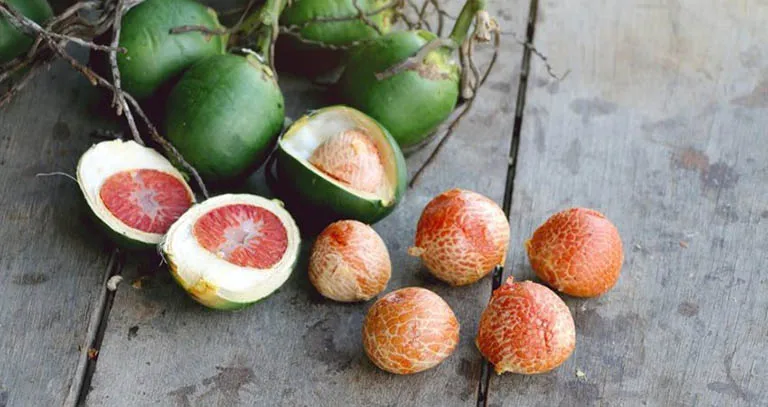 BETEL NUTS, ROUND OR A HALF ARECA NUTS HIGH QUALITY