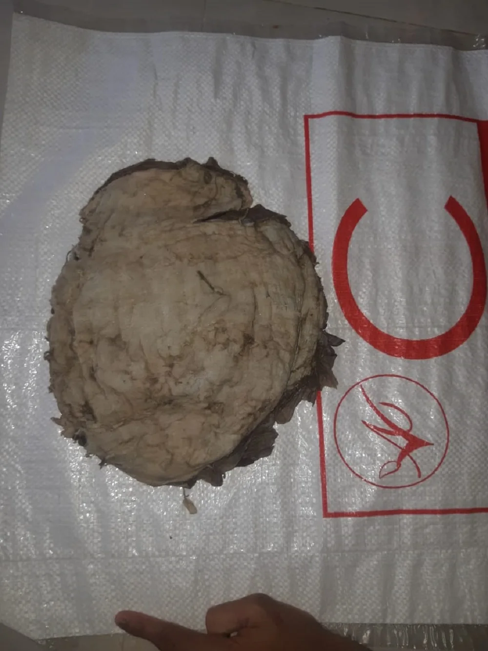 Соленая говядина