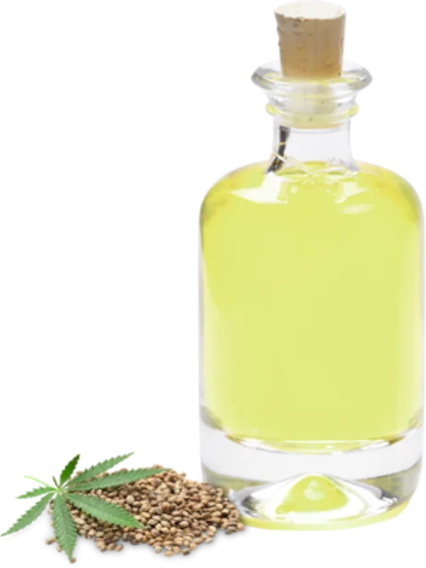 Buy Pure Organic Hemp Seed Oil