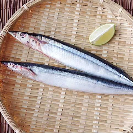 
Frozen Pacific Saury Frozensaury Sea Frozen Chinese Factory Pacific Saury For worldwide Marketing 