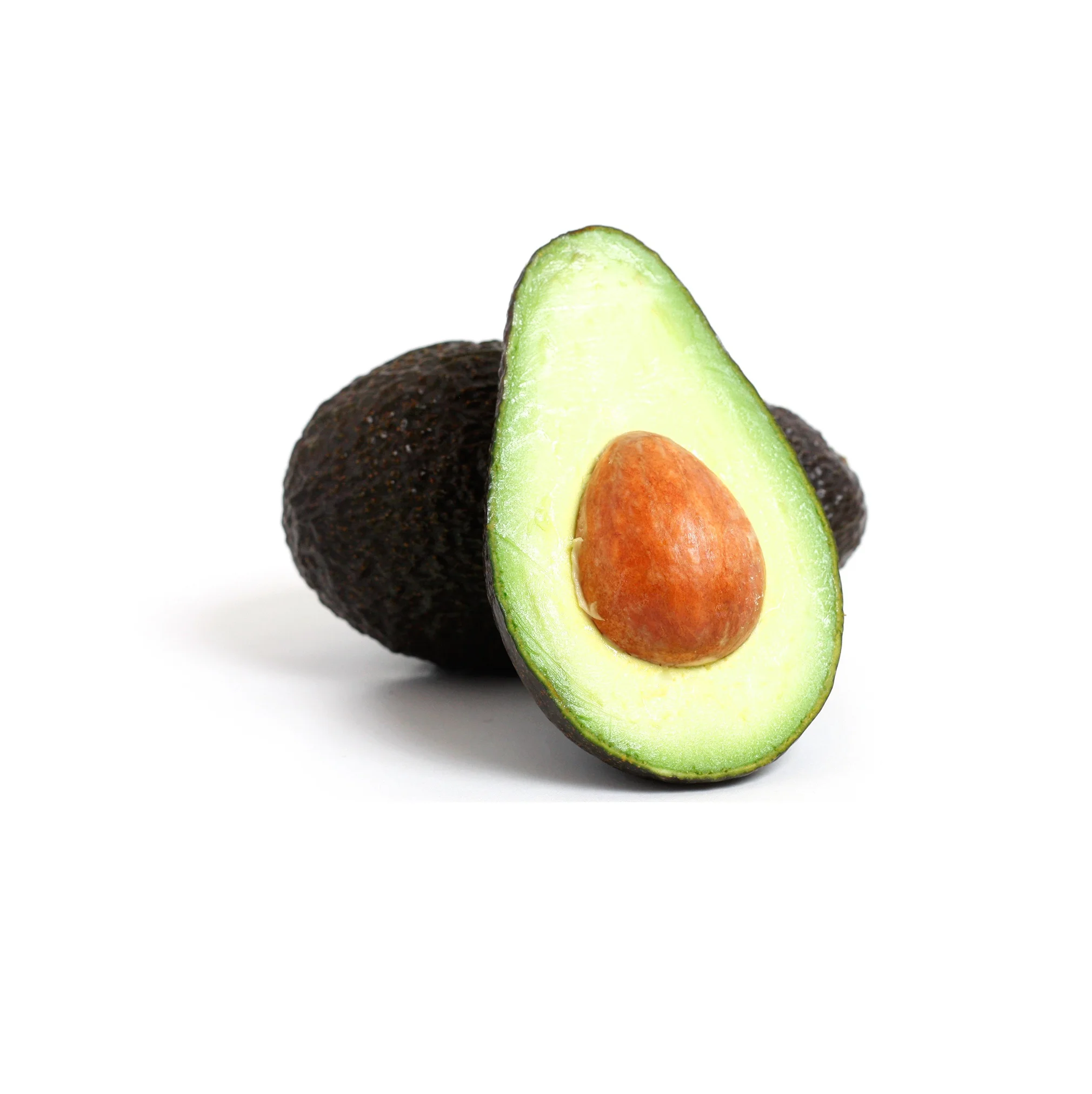 
Wholesale Best Price Supplier of Fresh Avocados with Fast Delivery 