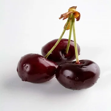  Свежие