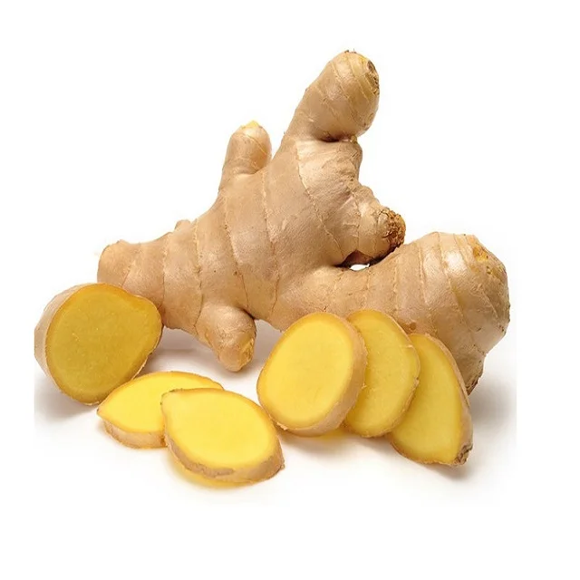 Wholesale organic fresh ginger cheap price high quality from Vietnam newest crop free tax jengibre fresc to EU Ukraina Korea