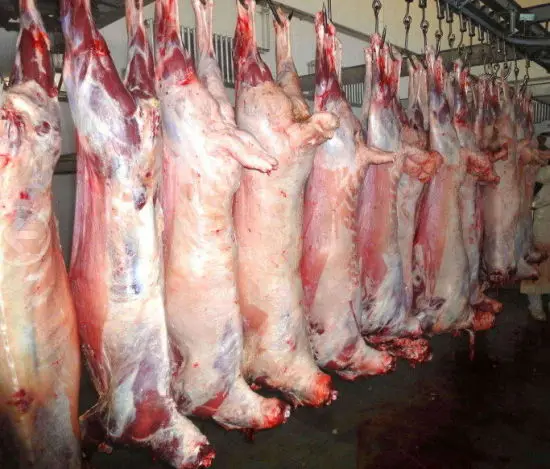 Fresh Frozen Halal Lamb Meat