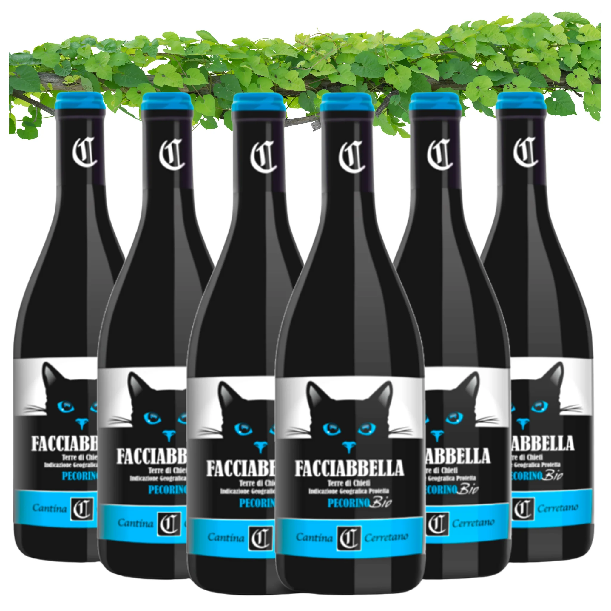 Dropship Italian White Wine - Pecorino Terre di Chieti IGP Organic Vegan - Wine bottles 750 ml - Alcohol wine 12.5%