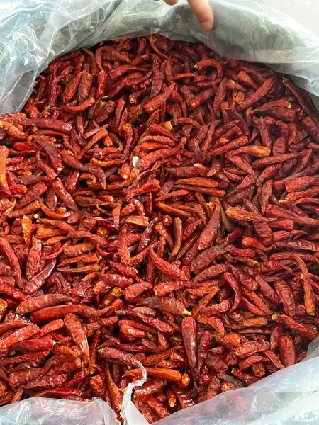 Dried Chilli New Crop Dried Vegetables Dehydrated Bulk Style Storage Packing Food Air Weight