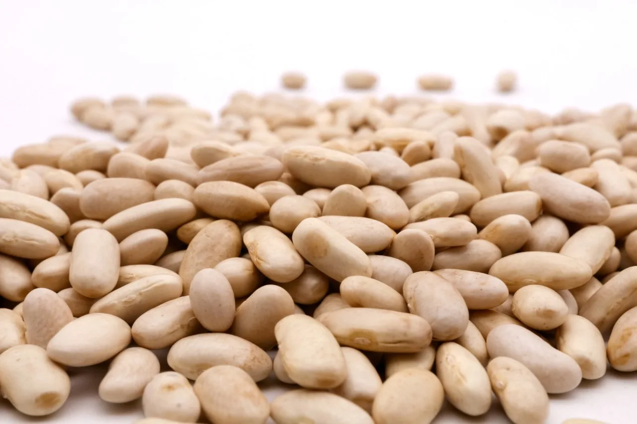 White bean