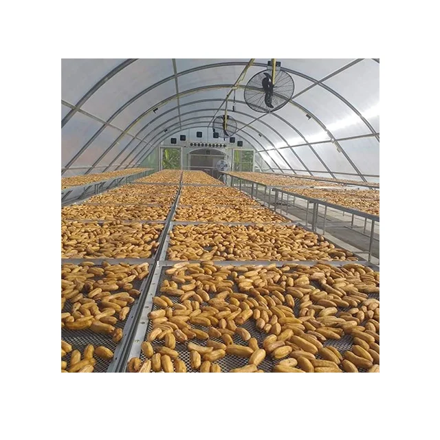 Sweet Dried Banana Dry Fruit Delicious Taste Premium Quality from Thailand for 100% Export