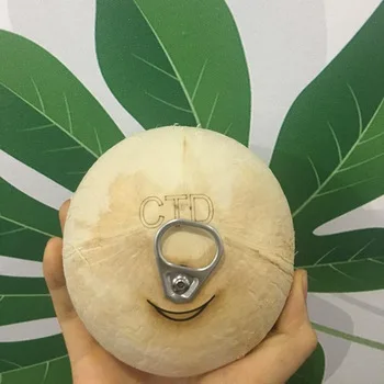 
VIETNAM DIAMOND CUT YOUNG COCONUT - FRESH COCONUT DIAMOND CUTTING 