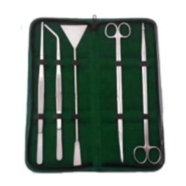 Aquatic Plant SET OF 5 PCS Stainless Steel