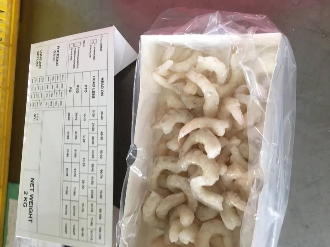 Frozen IQF Slipper Lobster