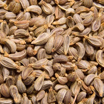 Parsley Seed Organic Essential Oil For Treating Arthritis