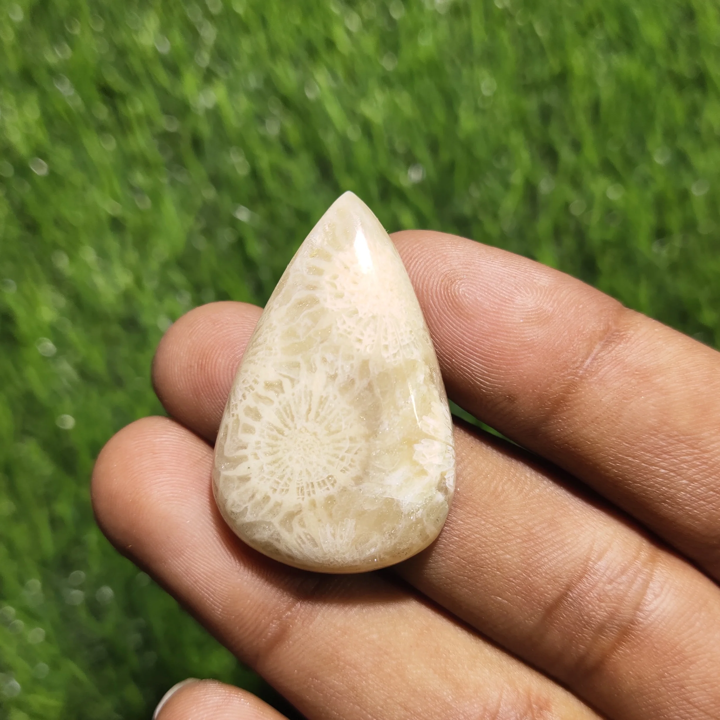 Top! Natural Fossil Coral Cabochon Amazing Quality Fossil Coral Loose Gemstone For Jewelry Making Semi Precious Stone