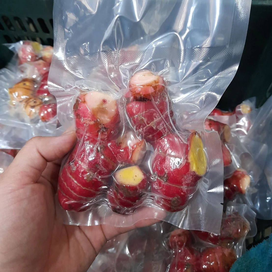 High Quality Frozen Galangal from Viet Nam Manufacturer for Food seasoning and mixed Spices &Amp; seasonings