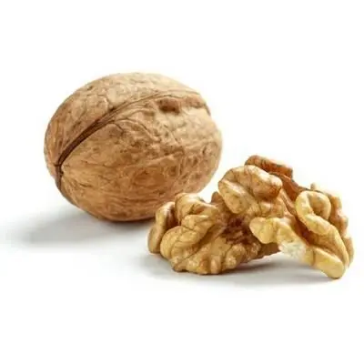 Bulk Raw Natural Ukraine Origin Type Walnut Nut