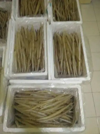 Сушеная Рыба (резка трубки или бабочки).