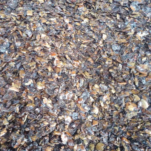 WHOLESALE CASHEW NUT SHELL EXTRACTED CASHEW NUT SHELL AGRICULTURAL WASTE