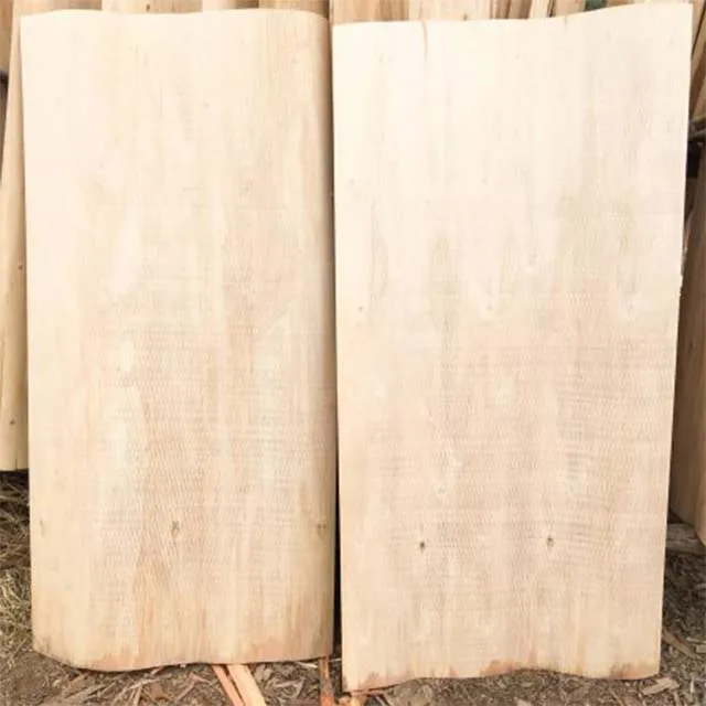 Виниры с ядром эвкалипта