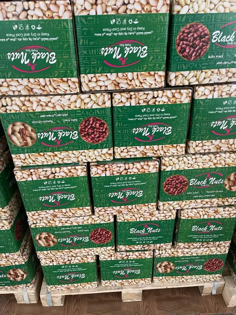 
Top Grade Peanut Nutritious Red Skin Peanut Egypt Origin Top Grade Peanut 