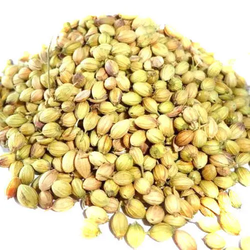 Export quality coriander seed with best quality and most competitive price available in India in customize packing as