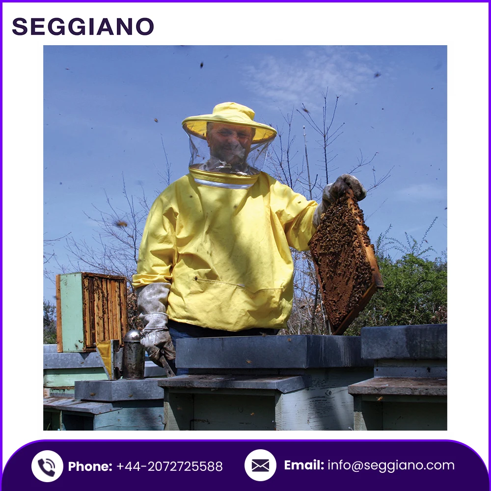 High Quality Cheap Price Wholesale Seggiano Sicilian Wild Carrot Raw Honey 500g