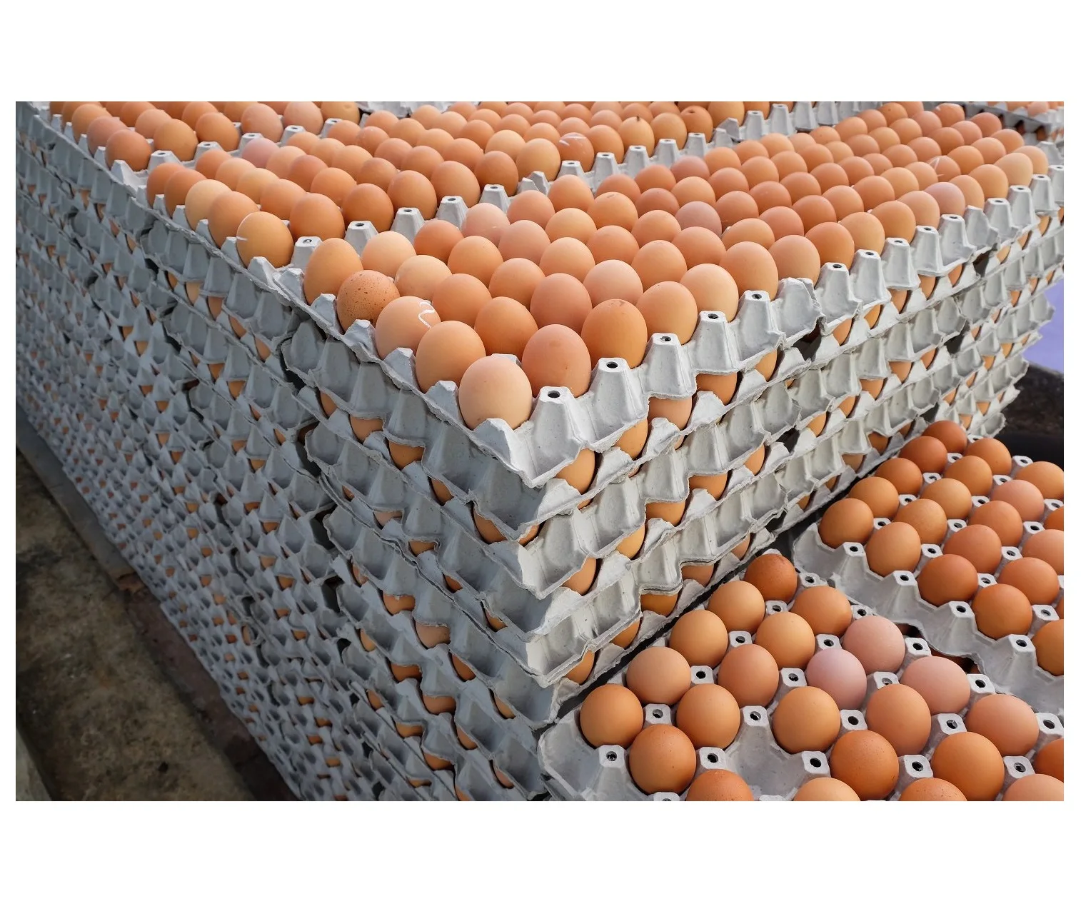 Stacked-eggs.jpg