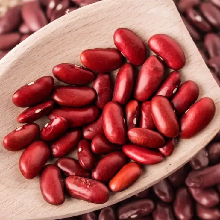 Quality Dried Dark Red Kidney Beans for sale