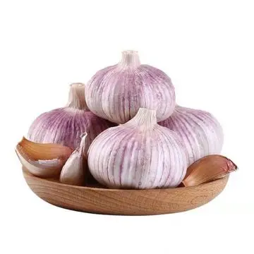 2023 Can be exported from China with HACCP certification red peel fresh garlic