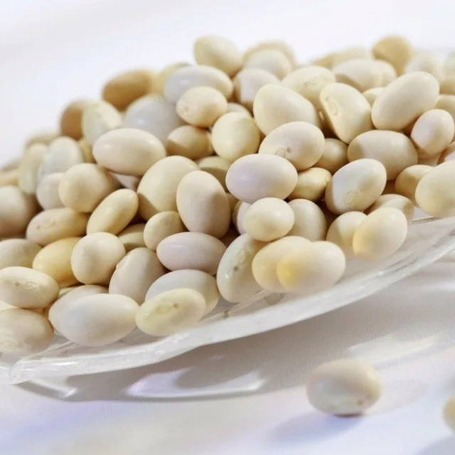 
 BUTTER BEANS  