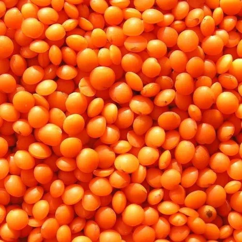  Качественная цельная Красная чечевица и красная