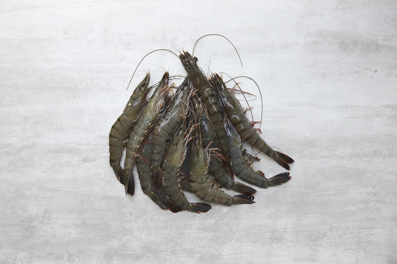 TIGER PRAWN 21-25.jpg