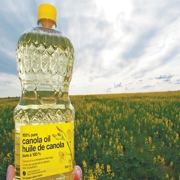 Rapeseed oil Certified Organic 100 % Pure Refined Rapeseed Oil / Canola Oil / Crude degummed rapeseed oil vegetable oil