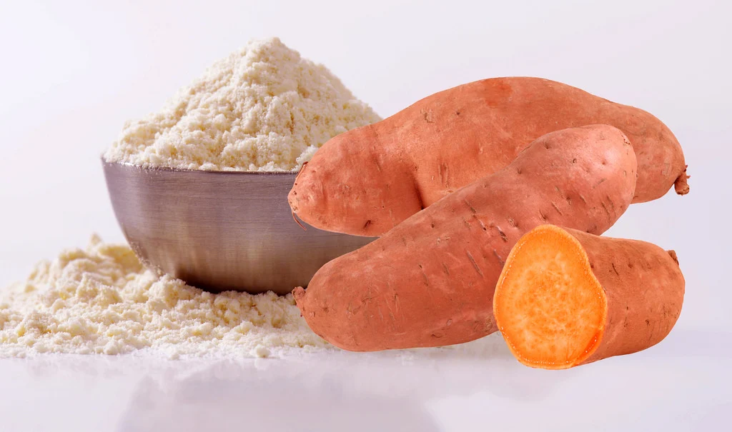 Sweet Potato Starch Flour Indonesia