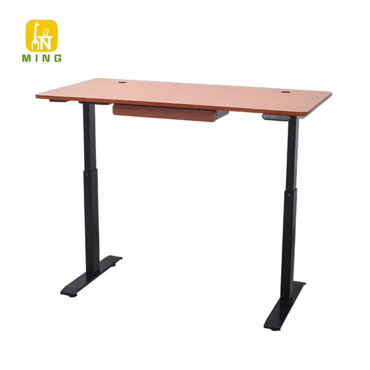 Modern Adjustable Height Home Office Table Sit to Stand Up Desk Electric Standing Desk Work Tables Workstations Lifting Desk