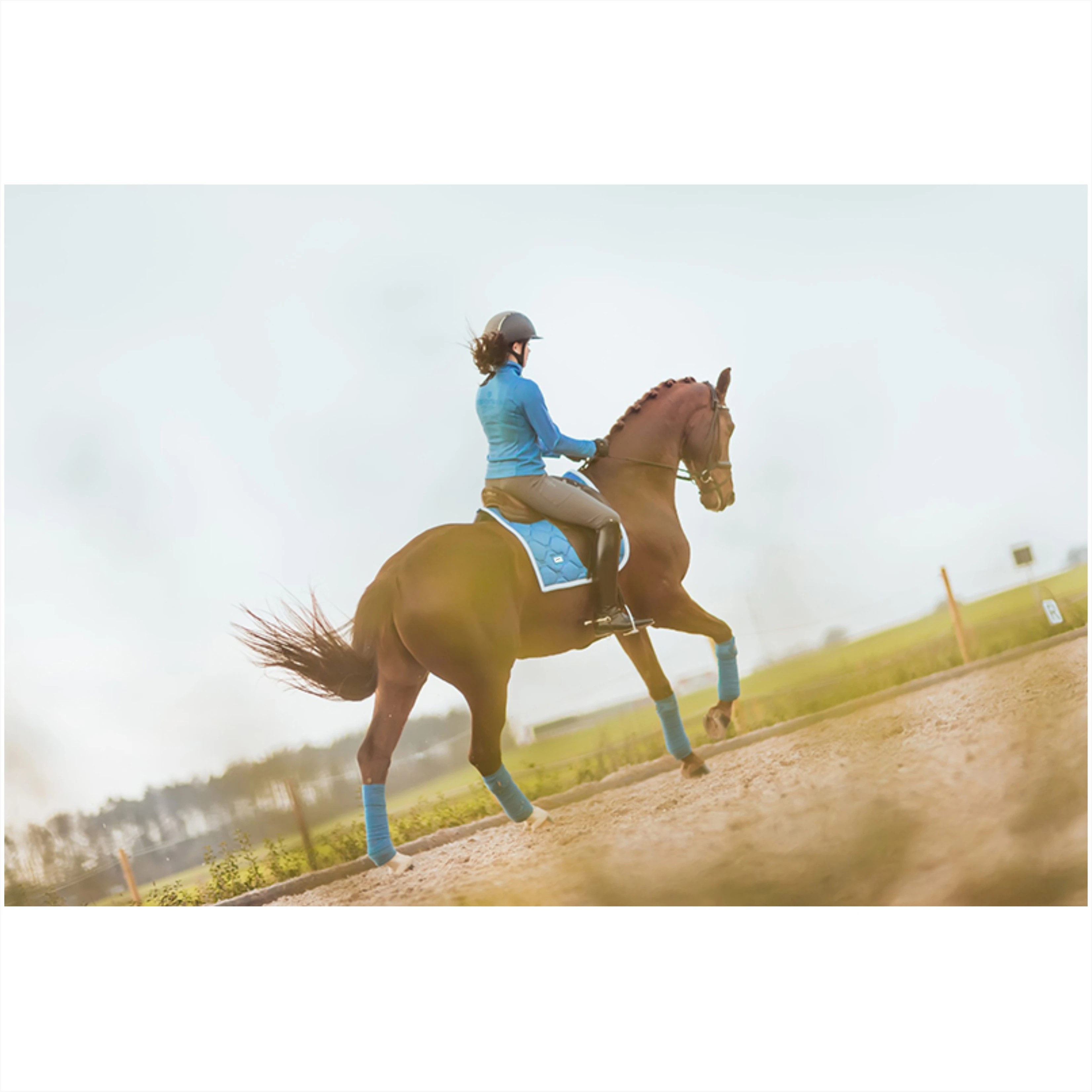 Horse Riding Equipment Equine Equestrian Products