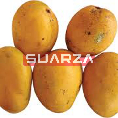 EU quality approved Fresh mangoes of different variety/ Fresh nutritious Mango  for Sale/fresh mango manufacturer