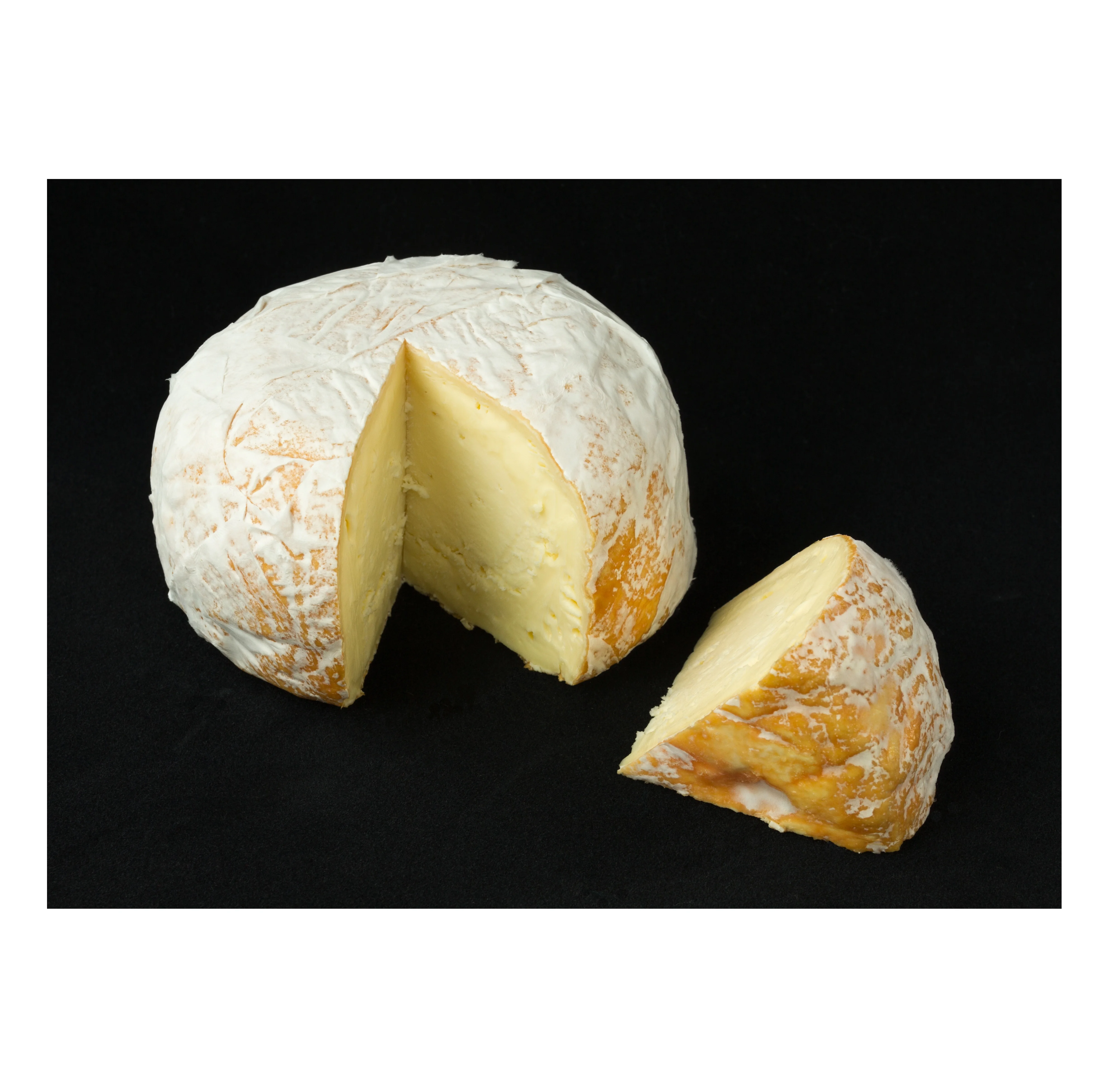 Top Quality Bulk Quantity Cheese In Factory Price