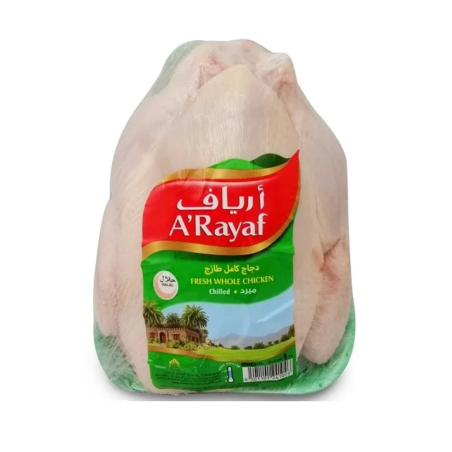 Bulk Top Quality Halal Frozen Whole Chicken Brazil Top Graded