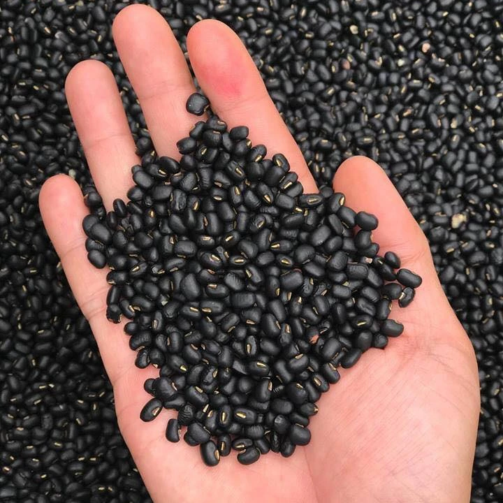 Dried Black Bean - best price