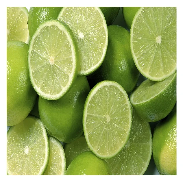 South Africa Wholesale Price High Quality Fresh Lemon