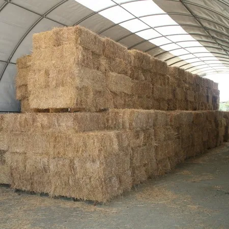 Wheat Straw Hay Bale Animal Feed Premium High Quality Protein Extract 99% Wholesale Bulk Quantity Retail